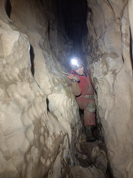 Thumbnail of photo from this article